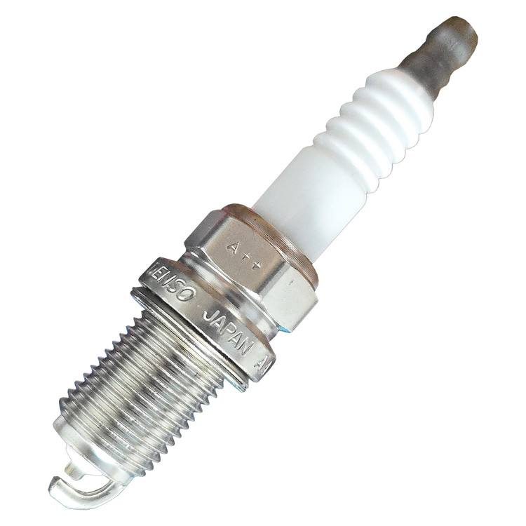 تصویر شمع دنسو